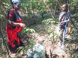 Biodiversity Conservation